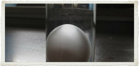 Ist mein Ei noch gut? Frischetest mit Wasserglas